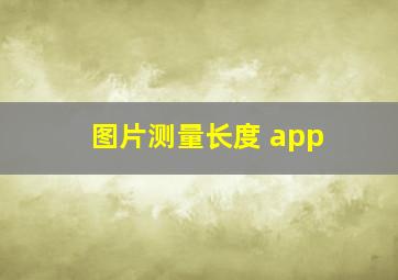 图片测量长度 app